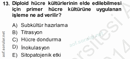 13. soru: Diploid hücre kültürlerinin elde edilebilmesi için primer hücre kültürüne uygulanan işleme ne ad verilir? A) Subkültü…