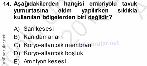 14. soru: Aşağıdakilerden hangisi embriyolu tavuk yumurtasına ekim yapılırken sıklıkla kullanılan bölgelerden biri değildir? A)…