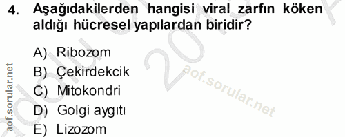 4. soru: Aşağıdakilerden hangisi viral zarfın köken aldığı hücresel yapılardan biridir? A) Ribozom B) Çekirdekcik C) Mitokondr…