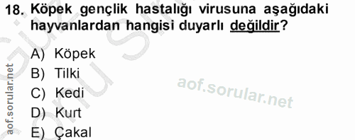18. soru: Köpek gençlik hastalığı virusuna aşağıdaki hayvanlardan hangisi duyarlı değildir? A) Köpek B) Tilki C) Kedi D) Kurt E…