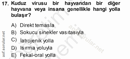 17. soru: Kuduz virusu bir hayvandan bir diğer hayvana veya insana genellikle hangi yolla bulaşır? A) Direkt temasla B) Sokucu…