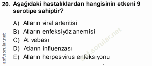 20. soru: Aşağıdaki hastalıklardan hangisinin etkeni 9 serotipe sahiptir? A) Atların viral arteritisi B) Atların enfeksiyöz ane…