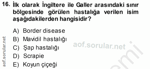 16. soru: İlk olarak İngiltere ile Galler arasındaki sınır bölgesinde görülen hastalığa verilen isim aşağıdakilerden hangisidir…