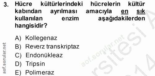 3. soru: Hücre kültürlerindeki hücrelerin kültür kabından ayrılması amacıyla en sık kullanılan enzim aşağıdakilerden hangisidi…