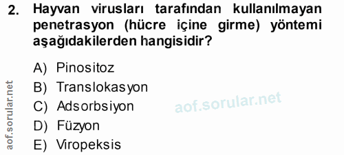 2. soru: Hayvan virusları tarafından kullanılmayan penetrasyon (hücre içine girme) yöntemi aşağıdakilerden hangisidir? A) Pino…