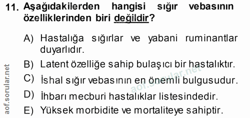 11. soru: Aşağıdakilerden hangisi sığır vebasının özelliklerinden biri değildir? A) Hastalığa sığırlar ve yabani ruminantlar du…