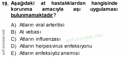 19. soru: Aşağıdaki at hastalıklardan hangisinde korunma amacıyla aşı uygulaması bulunmamaktadır? A) Atların viral arteritisi C…