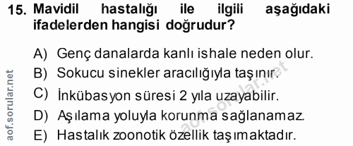 15. soru: Mavidil hastalığı ile ilgili aşağıdaki ifadelerden hangisi doğrudur? A) Genç danalarda kanlı ishale neden olur. B) So…