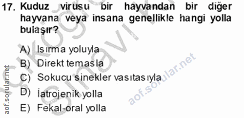 17. soru: Kuduz virusu bir hayvandan bir diğer hayvana veya insana genellikle hangi yolla bulaşır? A) Is ırma yoluyla B) Direkt…