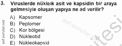 3. soru: Viruslerde nükleik asit ve kapsidin bir araya gelmesiyle oluşan yapıya ne ad verilir? A) Kapsomer B) Peplomer C) Kor…