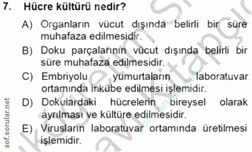 7. soru: Hücre kültürü nedir? A) Organların vücut dışında belirli bir süre muhafaza edilmesidir. B) Doku parçalarınin vücut dı…