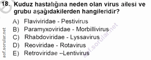 18. soru: Kuduz hastalığına neden olan virus ailesi ve grubu aşağıdakilerden hangileridir? A) Flaviviridae - Pestivirus B) Para…