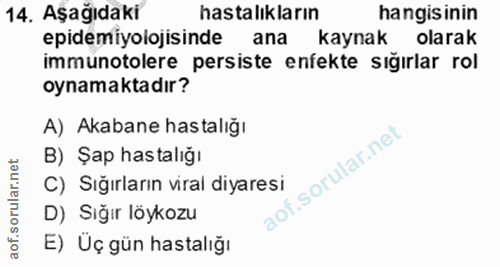 14. soru: Aşağıdaki hastalıkların hangisinin epidemiyolojisinde ana kaynak olarak immunotolere persiste enfekte sığırlar rol oy…