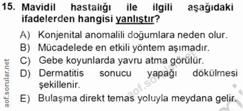15. soru: Mavidil hastalığı ile ilgili aşağıdaki ifadelerden hangisi yanlıştır? A) Konjenital anomalili doğumlara neden olur. B…