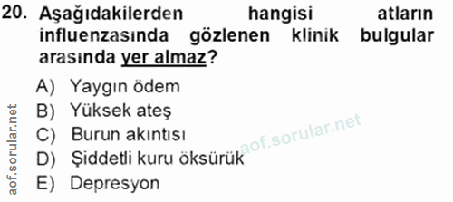 20. soru: Aşağıdakilerden hangisi atların influenzasında gözlenen klinik bulgular arasında yer almaz? A) Yaygın ödem B) Yüksek…