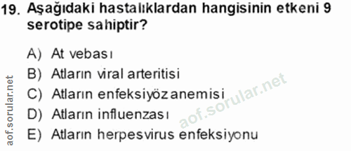 19. soru: Aşağıdaki hastalıklardan hangisinin etkeni 9 serotipe sahiptir? A) At vebası B) Atların viral arteritisi ular.net C)…