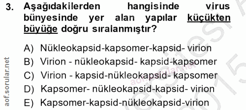 3. soru: Aşağıdakilerden hangisinde Virus bünyesinde yer alan yapılar küçükten büyüğe doğru sıralanmıştır? A) Nükleokapsid-kap…