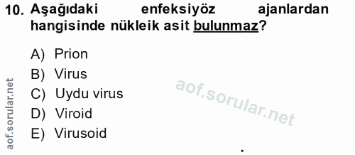 10. soru: Aşağıdaki enfeksiyöz ajanlardan hangisinde nükleik asit bulunmaz? A) Prion B) Virus C) Uydu virus D) Viroid E) Virusoid