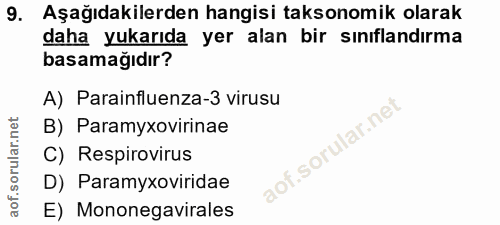 9. soru: Aşağıdakilerden hangisi taksonomik olarak daha yukarıda yer alan bir sınıflandırma basamağıdır? A) Parainfluenza-3 vi…