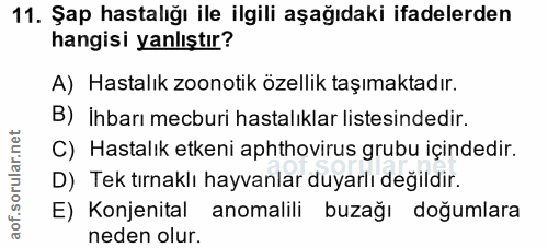 11. soru: Şap hastalığı ile ilgili aşağıdaki ifadelerden hangisi yanlıştır? A) Hastalık zoonotik özellik taşımaktadır. B) İhbar…