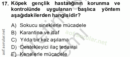 17. soru: Köpek gençlik hastalığının korunma ve kontrolünde uygulanan başlıca yöntem aşağıdakilerden hangisidir? A) Sokucu sine…