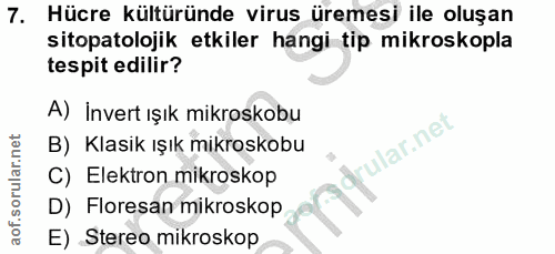 7. soru: Hücre kültüründe virus üremesi ile oluşan sitopatolojik etkiler hangi tip mikroskopla tespit edilir? A) Invert ışık m…