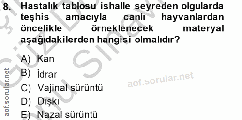 8. soru: Hastalık tablosu ishalle seyreden olgularda teşhis amacıyla canii hayvanlardan öncelikle örneklenecek materyal aşağıd…