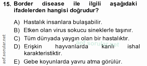 15. soru: Border disease ile ilgili aşağıdaki ifadelerden hangisi doğrudur? A) Hastalık insanlara bulaşabilir. B) Etken olan vi…