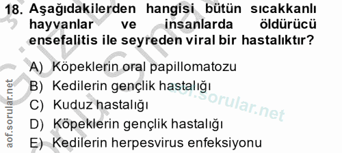 18. soru: Aşağıdakilerden hangisi bütün sıcakkanlı hayvanlar ve insanlarda öldürücü ensefalitis ile seyreden viral bir hastalık…