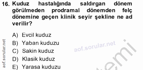 16. soru: Kuduz hastalığında saldirgan dönem görülmeden prodramal dönemden felç dönemine geçen klinik seyir şekline ne ad veril…