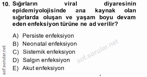 10. soru: Sığırların viral diyaresinin epidemiyolojisinde ana kaynak olan sığırlarda oluşan ve yaşam boyu devam eden enfeksiyon…