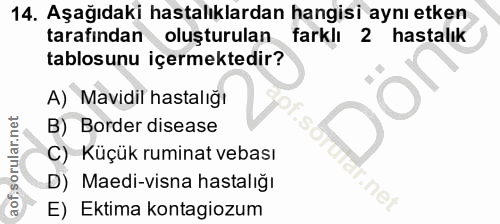 14. soru: Aşağıdaki hastalıklardan hangisi aynı etken tarafından oluşturulan farklı 2 hastalık tablosunu içermektedir? A) Mavid…
