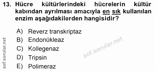 13. soru: Hücre kültürlerindeki hücrelerin kültür kabından ayrılması amacıyla en sık kullanılan enzim aşağıdakilerden hangisidi…
