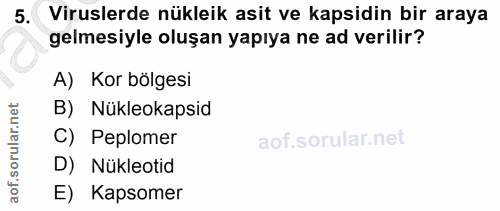 5. soru: Viruslerde nükleik asit ve kapsidin bir araya gelmesiyle oluşan yapıya ne ad verilir? A) Kor bölgesi B) Nükleokapsid…