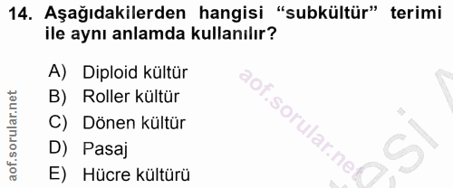 14. soru: Aşağıdakilerden hangisi "subkültür" terimi ile aynı anlamda kullanılır? A) Diploid kültür B) Roller kültür C) Dönen k…