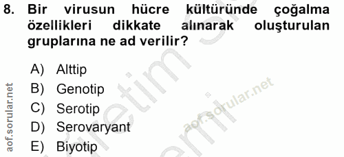 8. soru: Bir virusun hücre kültüründe çoğalma özellikleri dikkate alınarak oluşturulan gruplarina ne ad verilir? A) Alttip lar…