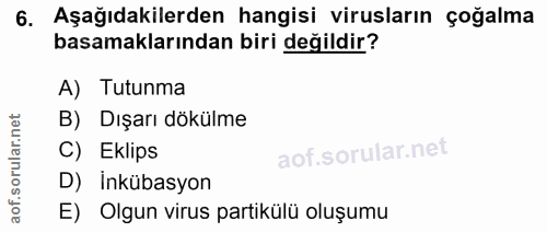 6. soru: Aşağıdakilerden hangisi virusların çoğalma basamaklarından biri değildir? A) Tutunma B) Dışarı dökülme C) Eklips D) İ…
