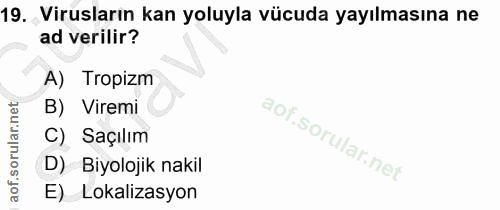 19. soru: Virusların kan yoluyla vücuda yayılmasına ne ad verilir? A) Tropizm B) Viremi C) Saçılım D) Biyolojik nakil E) Lokali…