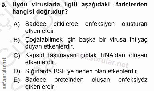 9. soru: Uydu viruslarla ilgili aşağıdaki ifadelerden hangisi doğrudur? A) Sadece bitkilerde enfeksiyon oluşturan etkenlerdir.…