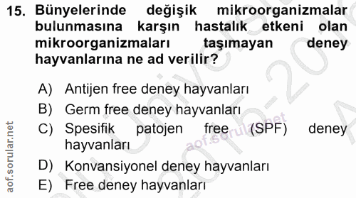 15. soru: Bünyelerinde değişik mikroorganizmalar bulunmasına karşın hastalık etkeni olan mikroorganizmaları taşımayan deney hay…