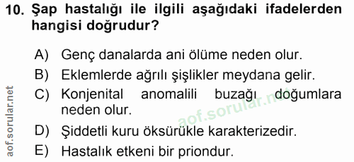 10. soru: Şap hastalığı ile ilgili aşağıdaki ifadelerden hangisi doğrudur? A) Genç danalarda ani ölüme neden olur. B) Eklemlerd…