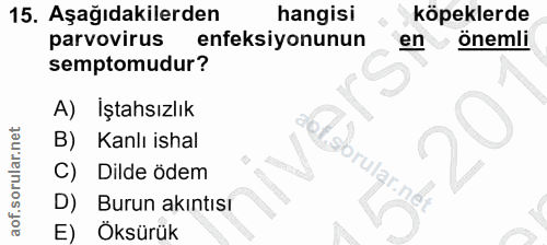 15. soru: Aşağıdakilerden hangisi köpeklerde parvovirus enfeksiyonunun en önemli semptomudur? A) İştahsızlık 67. B) Kanlı ishal…