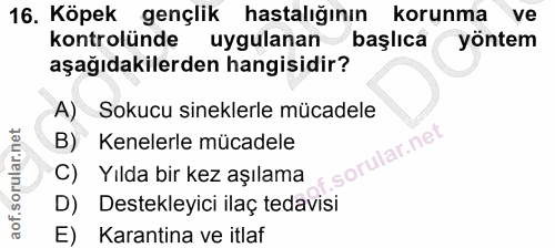 16. soru: Köpek gençlik hastalığının korunma ve kontrolünde uygulanan başlıca yöntem aşağıdakilerden hangisidir? A) Sokucu sine…
