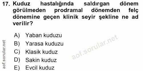 17. soru: Kuduz hastalığında saldırgan dönem görülmeden prodramal dönemden felç dönemine geçen klinik seyir şekline ne ad veril…