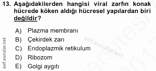 13. soru: Aşağıdakilerden hangisi viral zarfın konak hücrede köken aldığı hücresel yapılardan biri değildir? A) Plazma membranı…