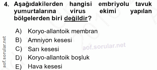 4. soru: Aşağıdakilerden hangisi embriyolu tavuk yumurtalarına virus ekimi yapılan bölgelerden biri değildir? A) Koryo-allanto…