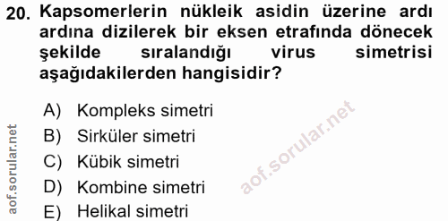 20. soru: Kapsomerlerin nükleik asidin üzerine ardı ardına dizilerek bir eksen etrafında dönecek şekilde sıralandığı virus sime…