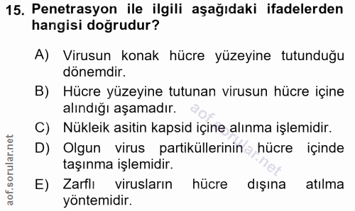 15. soru: Penetrasyon ile ilgili aşağıdaki ifadelerden hangisi doğrudur? A) Virusun konak hücre yüzeyine tutunduğu dönemdir. B)…