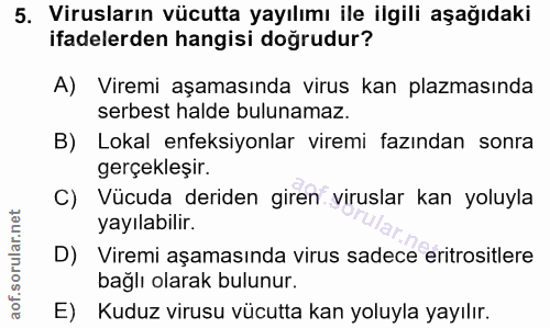 5. soru: Virusların vücutta yayılımı ile ilgili aşağıdaki ifadelerden hangisi doğrudur? A) Viremi aşamasında virus kan plazmas…