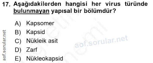 17. soru: Aşağıdakilerden hangisi her virus türünde bulunmayan yapısal bir bölümdür? A) Kapsomer B) Kapsid C) Nükleik asit D) Z…